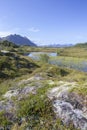 Marsh land near Straumnes, Vagan, Lofoten Islands, Norway