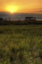 Marsh Land Sunrise