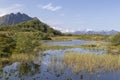 Marsh land on Vagan, Lofoten Islands, Norway, Scandinavia