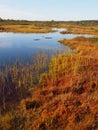 Marsh landscape Royalty Free Stock Photo