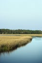 Marsh landscape Royalty Free Stock Photo