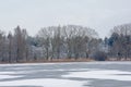 Marsh landscape with bare winter trees and covered in snow and pool with reed Royalty Free Stock Photo