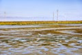 Marsh Landscape in Baylands Park view towards Byxbee park, Palo Alto, San Francisco bay area, California Royalty Free Stock Photo