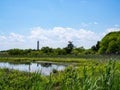 Marsh Landscape, Cape May Lighthouse, New Jersey Royalty Free Stock Photo