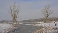 Marsh landscape and covered in snow and pool with dead trees with cormorant nests