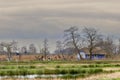 Marsh landscape in peat meadow area nature reserve near the Nieuwkoopse Plassen between Enkele Wiericke and Kippenkade Royalty Free Stock Photo