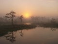 Marsh landscape, sunrise Royalty Free Stock Photo