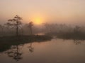 Marsh landscape, sunrise Royalty Free Stock Photo