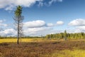 Marsh landscape on the Yamal Peninsula in Siberia