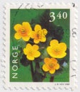 Marsh Marigold flowers on a 1998 Norway postage stamp. October 2025 Royalty Free Stock Photo