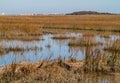 Marsh at Murrells Inlet, South Carolina