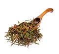 Marsh Northern Labrador Tea Ledum palustre on the wooden spoon. Used in medicine.