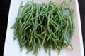 Marsh Samphire