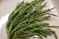 Marsh Samphire or Common Glasswort Salicornia europaea