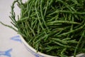 Marsh Samphire or Common Glasswort Salicornia europaea Royalty Free Stock Photo