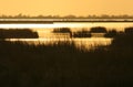 Marsh sunset Royalty Free Stock Photo