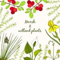 Marsh and wetland plants collection