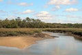 Marsh wetlands in Charleston, South Carolina