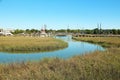 Marsh and wetlands in Charleston, South Carolina