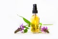 Marsh woundwort essential oil in  beautiful bottle on White background Royalty Free Stock Photo