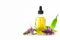 Marsh woundwort essential oil in  beautiful bottle on White background Royalty Free Stock Photo