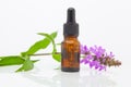 Marsh woundwort essential oil in  beautiful bottle on White background Royalty Free Stock Photo