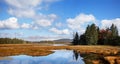 Marshall Brook Panorama