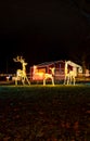 Reindeer Christmas light at night. Merry Mile.
