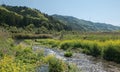 Marshes along Hozugawa River.