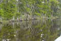 Marshes and Bayous of Louisiana Royalty Free Stock Photo