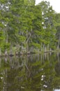 Marshes and Bayous of Louisiana Royalty Free Stock Photo