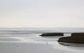 Marshes of Dollard Estuary near Nieuw Statenzijl Royalty Free Stock Photo