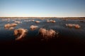 Marshes of Hecla Island in Manitoba