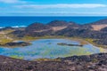 Marshes at Isla de Lobos, Canary islands, Spain Royalty Free Stock Photo