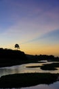 Marshes Kaw in French Guyana Royalty Free Stock Photo