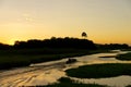 Marshes Kaw in French Guyana