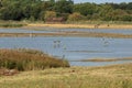 Marshes at RSPB Minsmere Royalty Free Stock Photo