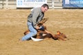 Marshfield, Massachusetts - June 24, 2012: A Rodeo Cowboy Attempting To Tie Up Three Legs Of A Calf