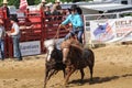 Marshfield, Massachusetts - June 24, 2012: A Standing Teenage Girl Riding Two Running Ponies