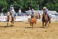 Marshfield, Massachusetts - June 24, 2012: Two Rodeo Cowboys Trying To Rope A Running Steer