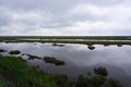 Marshland on Deal Island, Somerset County, Maryland Royalty Free Stock Photo