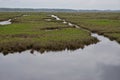 Marshland on Deal Island, Somerset County, Maryland Royalty Free Stock Photo