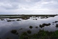 Marshland on Deal Island, Somerset County, Maryland Royalty Free Stock Photo