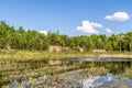 Marshland with dry grass, young trees. Time for sunset Royalty Free Stock Photo