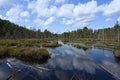 Marshland Early Autumn