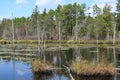 Marshland Early Autumn