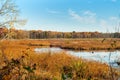 Marshland with geese Royalty Free Stock Photo