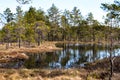 Marshland and moorland