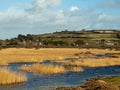 Marshland Near Marazion Cornwall Royalty Free Stock Photo
