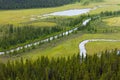 Marshland river riparian wetland landscape